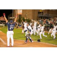 Brian Pointer of the Reading Fightin' Phils Celebrates All-Star Game Winning Homer