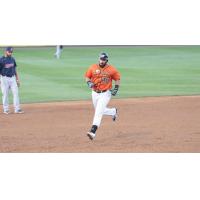 Steve McQuail of the Long Island Ducks