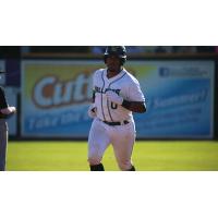 Madison Mallards in Action
