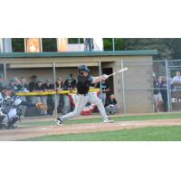William Paschal of the Rochester Honkers