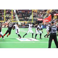 Orlando Predators QB Randy Hippeard vs. the Cleveland Gladiators