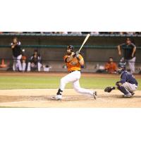 Steve McQuail Homers for the Long Island Ducks