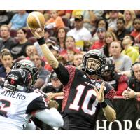 Cleveland Gladiators Quarterback Shane Austin