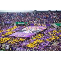 Orlando City SC Fans