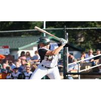 Green Bay Bullfrogs at the Plate