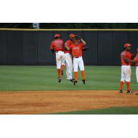 Luis Payano, Hector Roa and Myles Straw of the Greeneville Astros