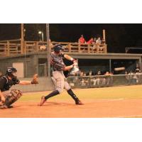 Acadiana Cane Cutters at Bat