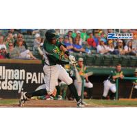 Madison Mallards in Action
