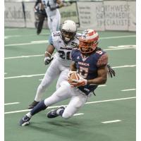 Spokane Shock Wide Receiver Anthony Amos