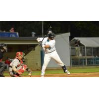 Joe DeRoche-Duffin of the Rochester Honkers
