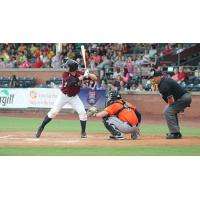 Dane Phillips of the Evansville Otters