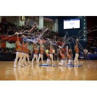 Westchester Knicks Dancers
