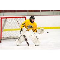 Goaltender Dryden McKay with the Springfield Jr. Blues