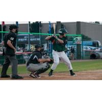 Green Bay Bullfrogs at Bat