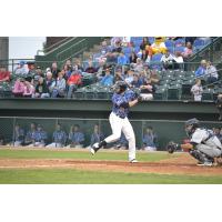 Sioux Falls Canaries Batting