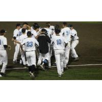 Lakeshore Chinooks Celebrate Walk-Off Win
