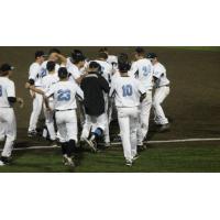 Lakeshore Chinooks Celebrate Walk-Off Win