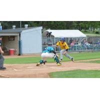 Catcher Slade Heggen of the Rochester Honkers