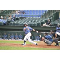 Sioux Falls Canaries at the Plate