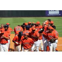 Greeneville Astros Celebrate Walk-Off Win
