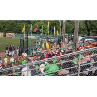 Fun at a Green Bay Bullfrogs Game