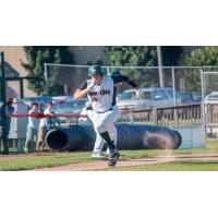 Green Bay Bullfrogs First Baseman Ryan Donovan