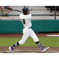 Elliott Barzilli of the Duluth Huskies