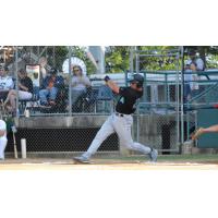 Alex Schultz of the Rochester Honkers