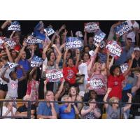 Washington Kastles Fans