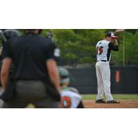 Green Bay Bullfrogs Pitcher Garrett Harrison
