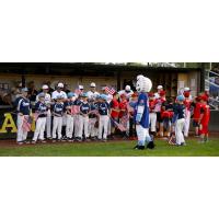 Pregame with the Albany Dutchmen