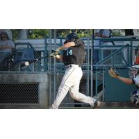 Ryan Webberley of the Rochester Honkers