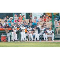 Green Bay Bullfrogs Bench