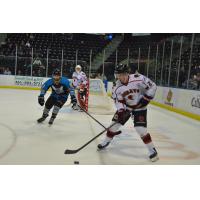 Connor Kelly of the Corpus Christi IceRays