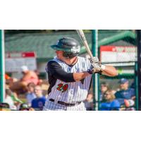 Green Bay Bullfrogs Batting
