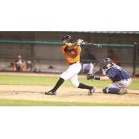 Fehlandt Lentini of the Long Island Ducks