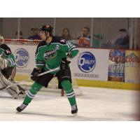 Louisiana IceGators Defenseman Mitch Stretch