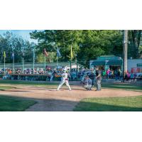 Green Bay Bullfrogs Game at Joannes Stadium