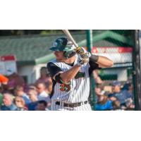 Green Bay Bullfrogs at the Plate