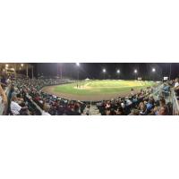 Lexington County Baseball Stadium, Home of the Lexington County Blowfish