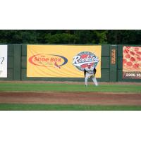 Robb Paller of the Green Bay Bullfrogs