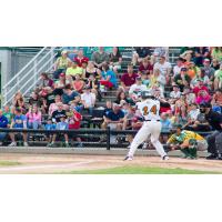 Paul Jacobson of the Green Bay Bullfrogs