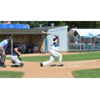 Miles Mastrobuoni of the Rochester Honkers