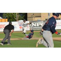 Adam Walton of the Rochester Honkers Goes Airborn to Catch a Throw