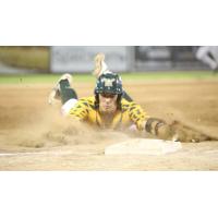Madison Mallards Slide into the Base