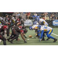 Orlando Predators vs. Tampa Bay Storm