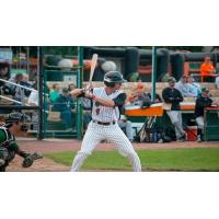 Green Bay Bullfrogs at the Plate