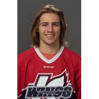 Kalamazoo Wings Centerman Alex Mallet