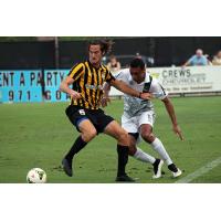 Charleston Battery Defender Shawn Ferguson