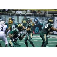 San Jose SaberCats Quarterback Erik Meyer